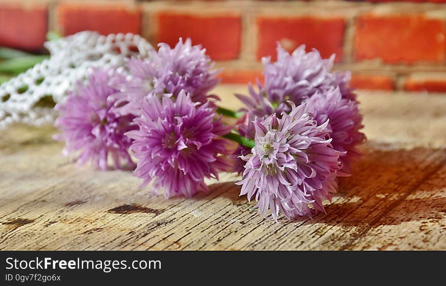 A close up of purple chive flowers on a wooden background.