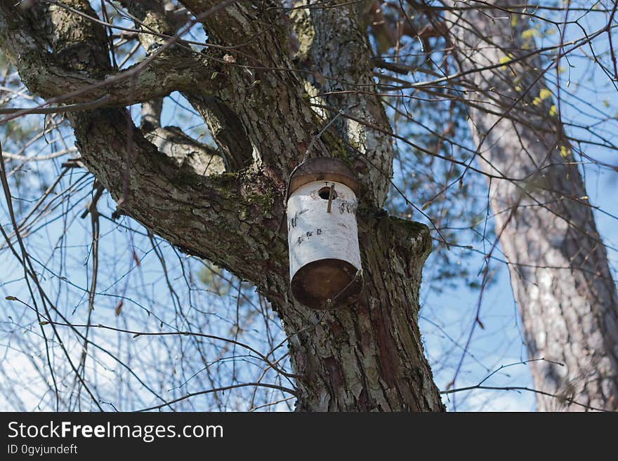 Nest box on a tree.