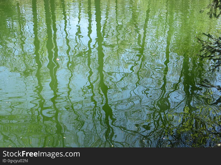 water texture with distorted green reflections