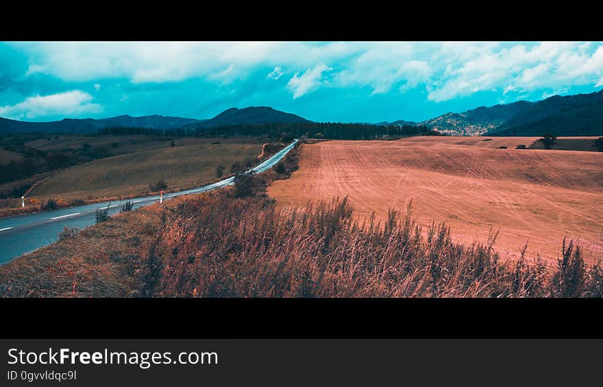 Meadows 2