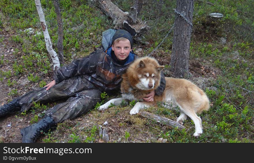 Plant, Dog, Hat, Military camouflage, Dog breed, Carnivore