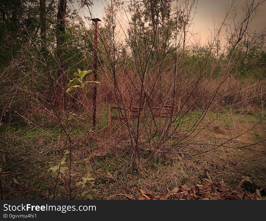 A pole in dry grass in autumn.