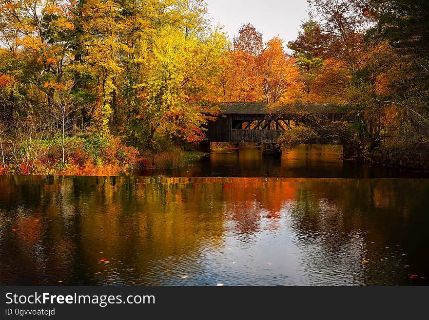 Scenic view of covered bridge over river in autumn with forest reflecting on water.