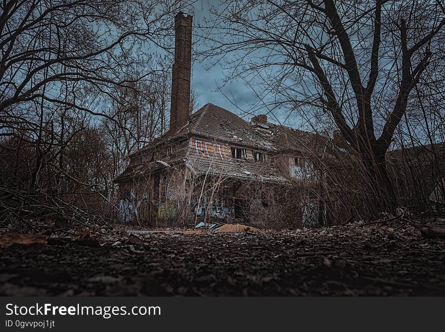 Eerie abandoned building surrounded by trees with bare branches at dusk.