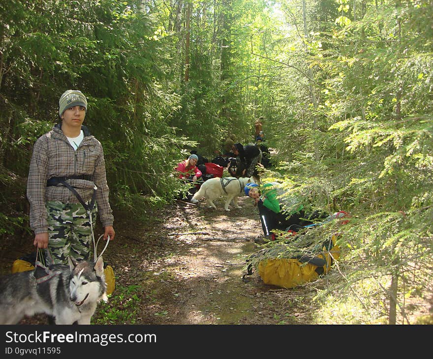 Plant, Plant community, Tree, People in nature, Working animal, Fawn