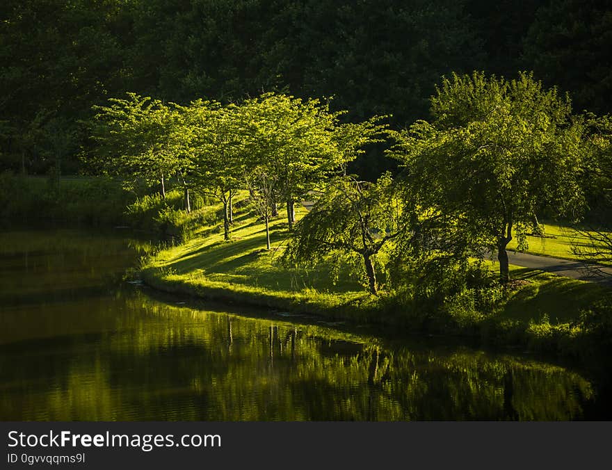 A green park with a pond or river. A green park with a pond or river.