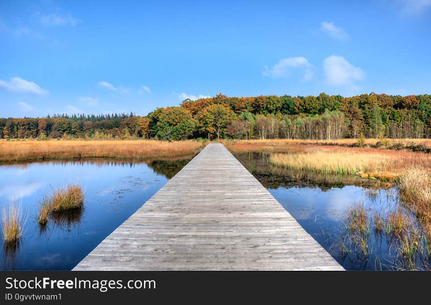 Scenic view of long wooden jetty over lake in countryside with forest in background. Scenic view of long wooden jetty over lake in countryside with forest in background.