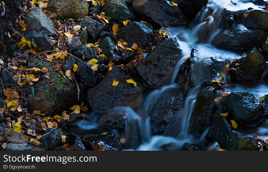 Water, Nature, Rock, Stream