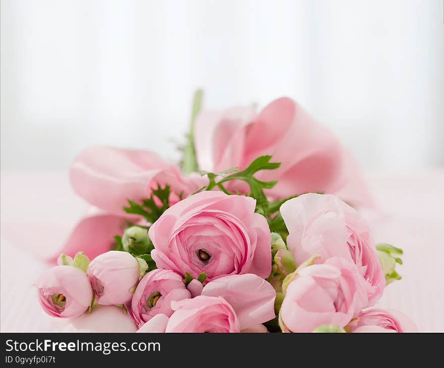 Flower, Pink, Rose Family, Flower Arranging