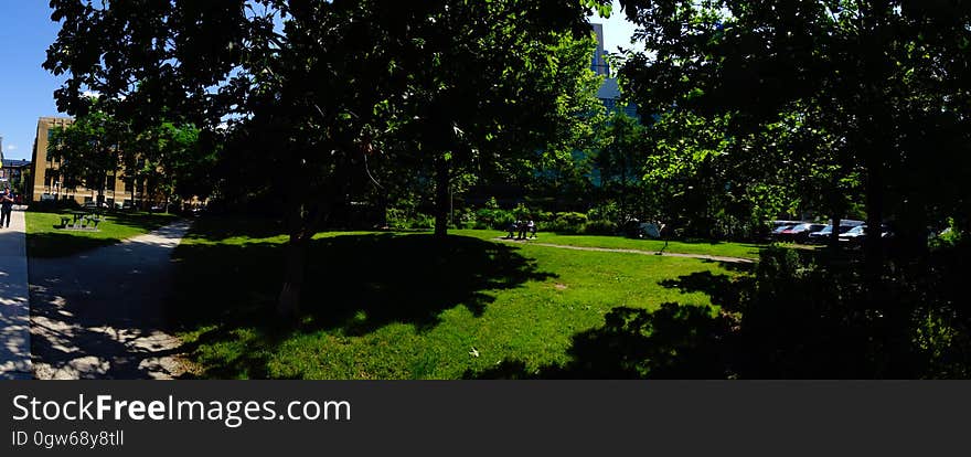 Pano of a parkette, on McCaul, where someone seems to have pitched a tent, 2017 06 28