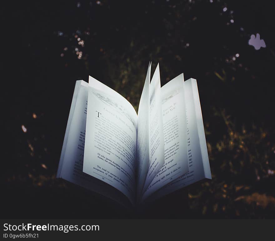 An open book on a grassy meadow. An open book on a grassy meadow.