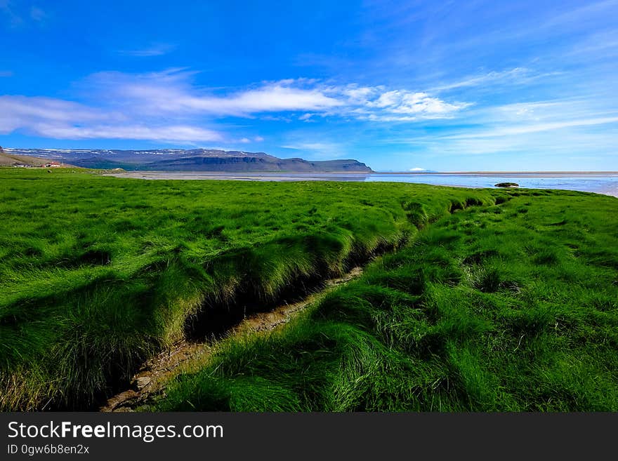 A grassy field on the shore. A grassy field on the shore.