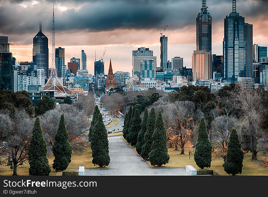 A view of a park and the city skyline in the background. A view of a park and the city skyline in the background.