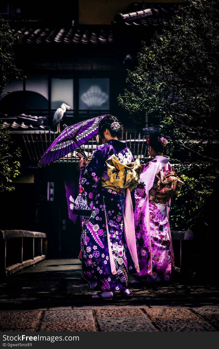 Asian women in colorful kimono robes and parasol standing on bridge in garden. Asian women in colorful kimono robes and parasol standing on bridge in garden.