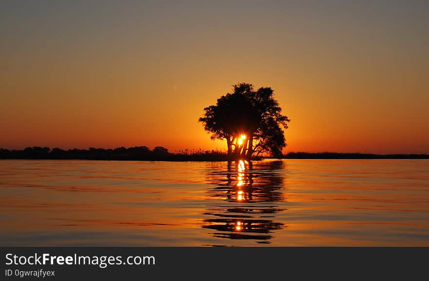 Calm Water Surface Overlooking Sun Setting on the Horizon Blocked by the Silhouette of Tree