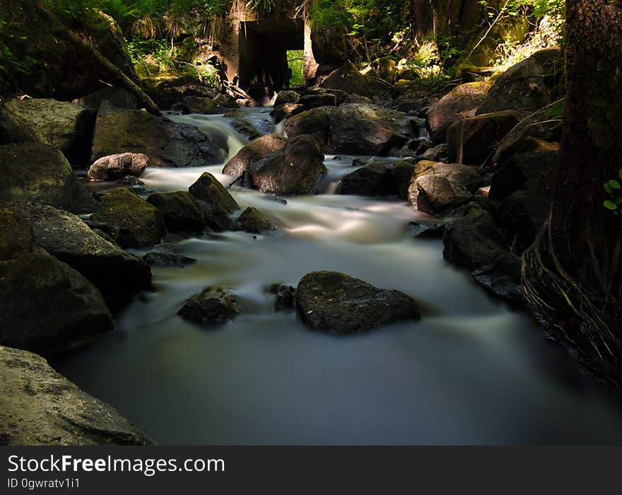 Stream Flowing Through Rocks in Forest