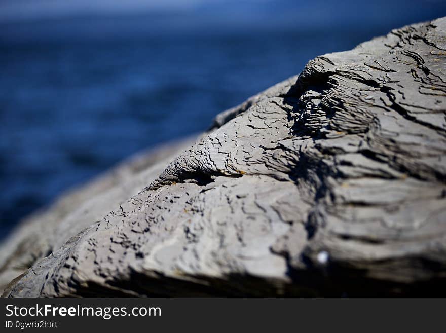 A close up of a rock on the seacoast. A close up of a rock on the seacoast.