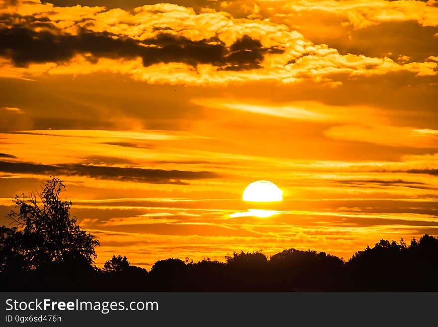 Sunset in orange skies over silhouette of tree tops. Sunset in orange skies over silhouette of tree tops.