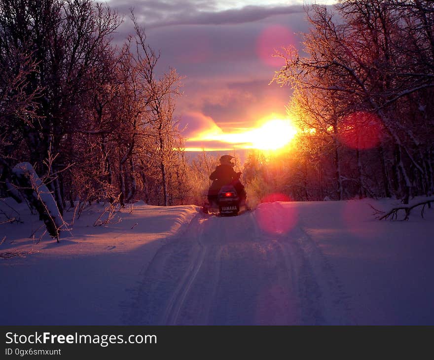 Snowmobile on snowy track through woods at sunset. Snowmobile on snowy track through woods at sunset.