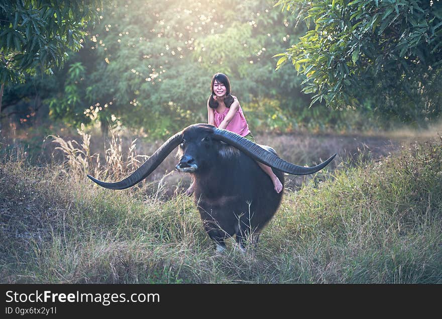 Man Riding Horse