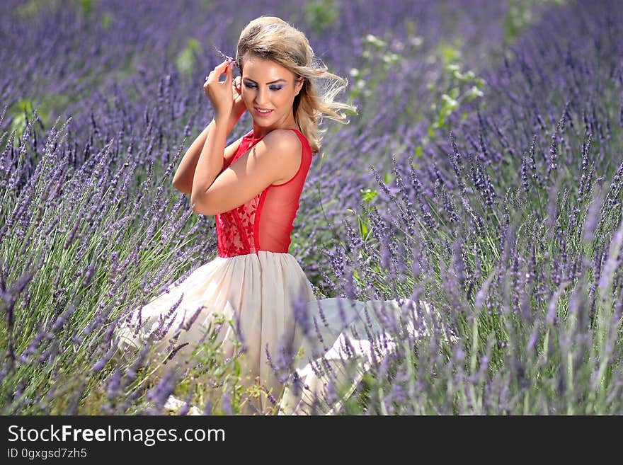 Flower, Purple, Beauty, Grass