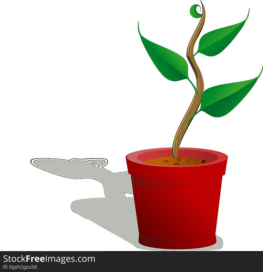 Flowerpot, Plant, Flower, Product Design