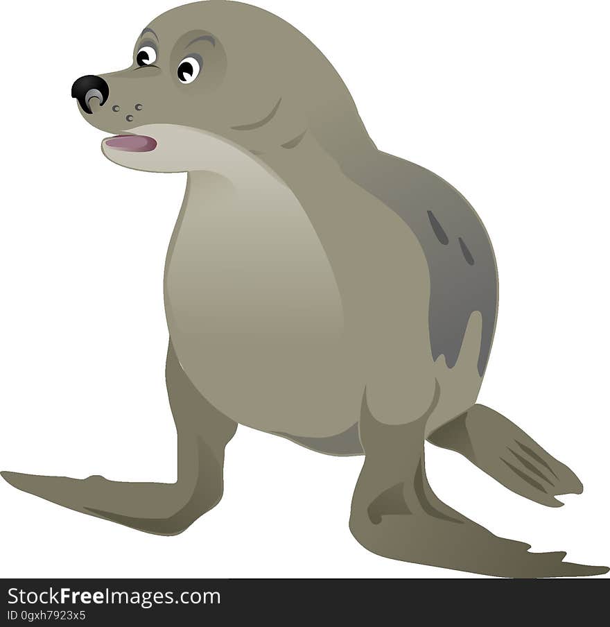 Fauna, Dog Like Mammal, Mammal, Seals