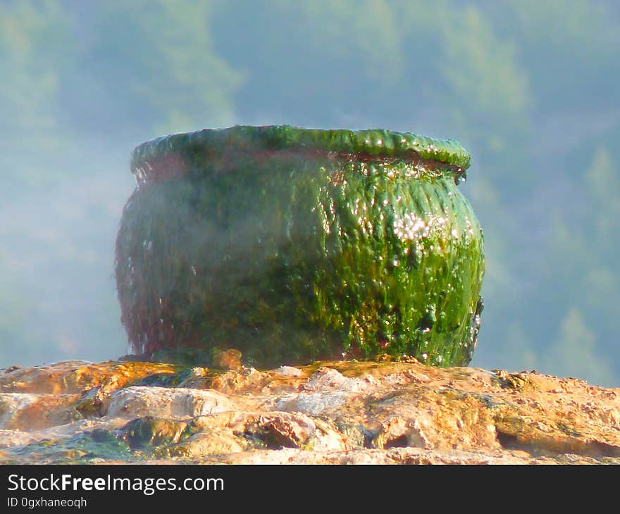 Rock, Grass, Water Resources, Sky