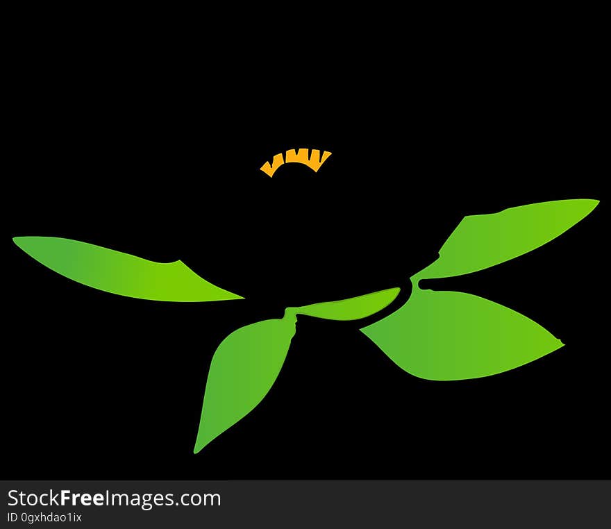 Leaf, Yellow, Flora, Plant