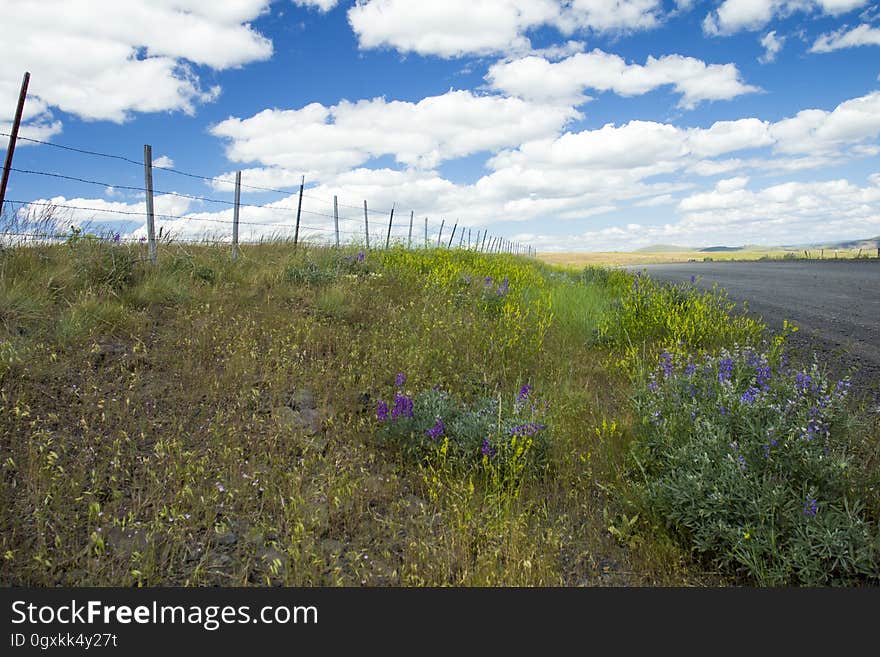 Zumwalt Prairie, Oregon