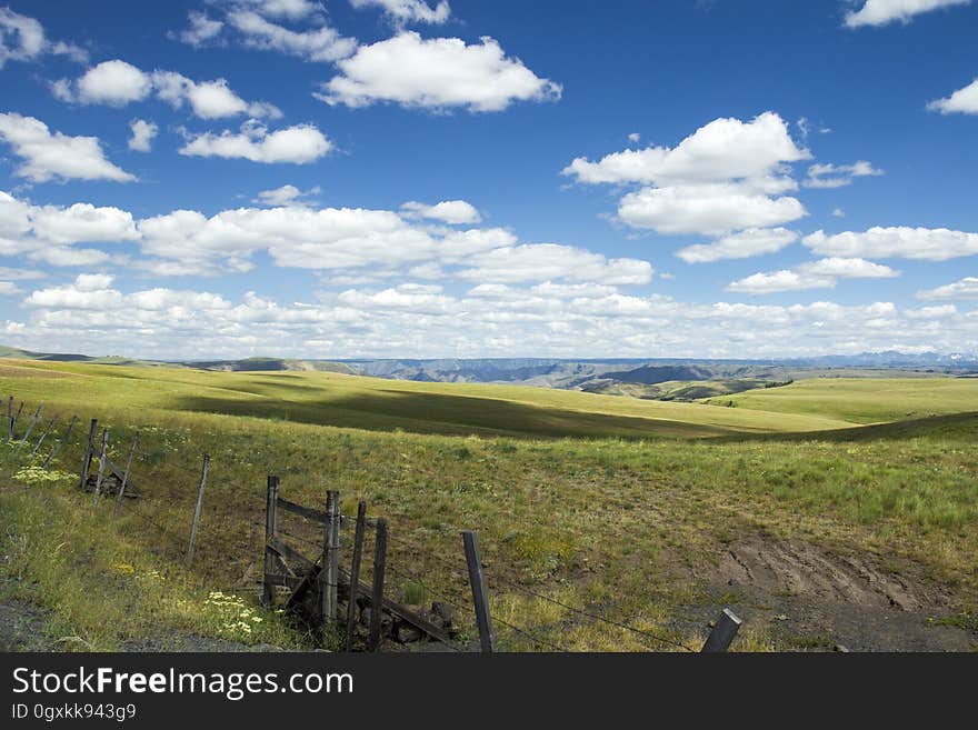 Zumwalt Prairie , Oregon