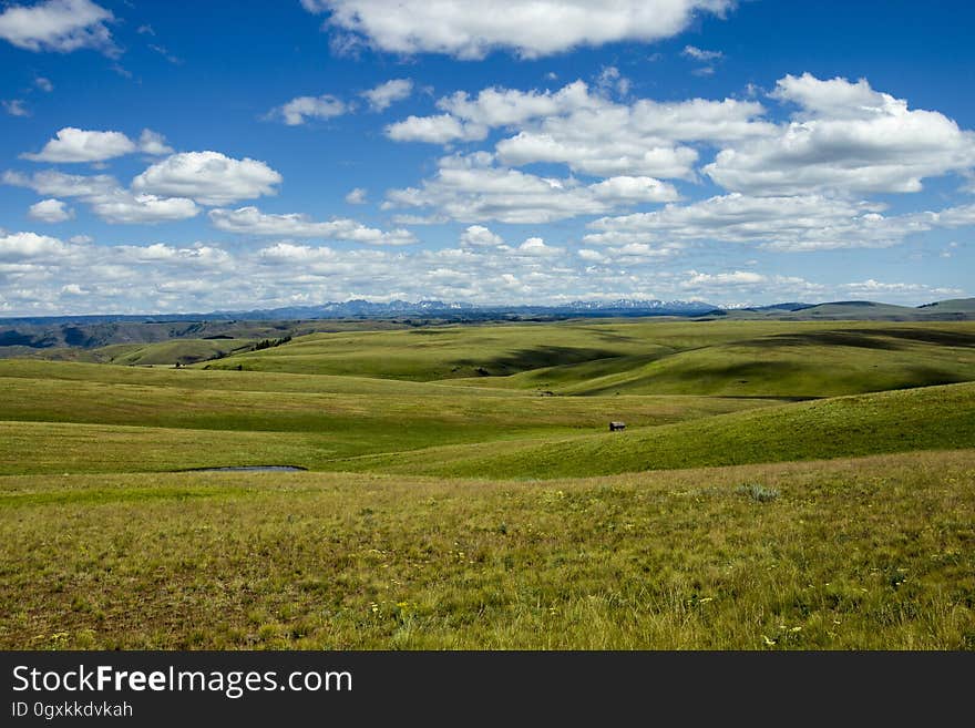 Zumwalt Prairie, Oregon