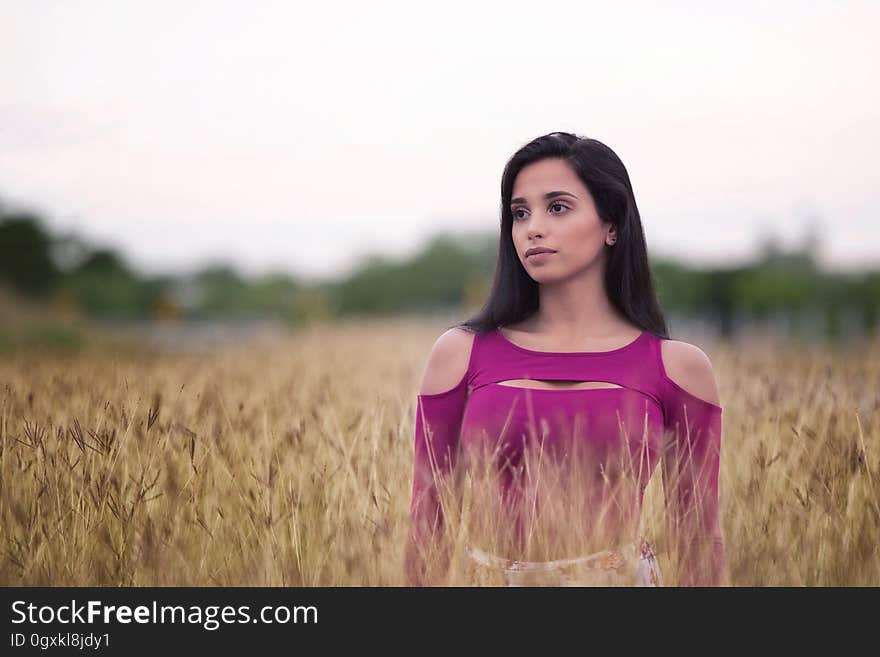 Portrait of attractive woman wearing purple dress standing in golden field of wheat. Portrait of attractive woman wearing purple dress standing in golden field of wheat.