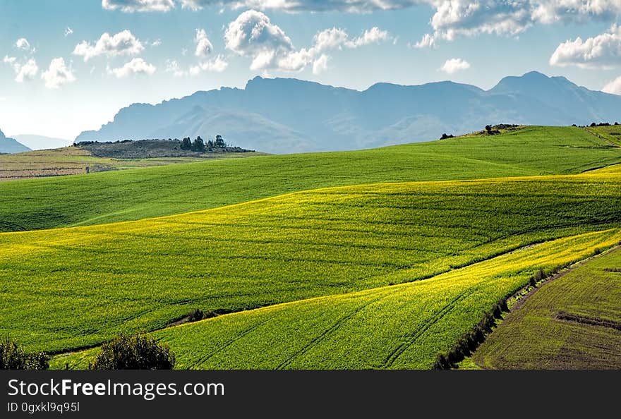 Green fields on rolling hills in countryside landscape with blue skies on sunny day. Green fields on rolling hills in countryside landscape with blue skies on sunny day.