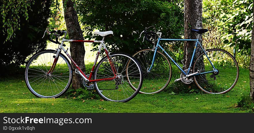 Red and White Road Bike