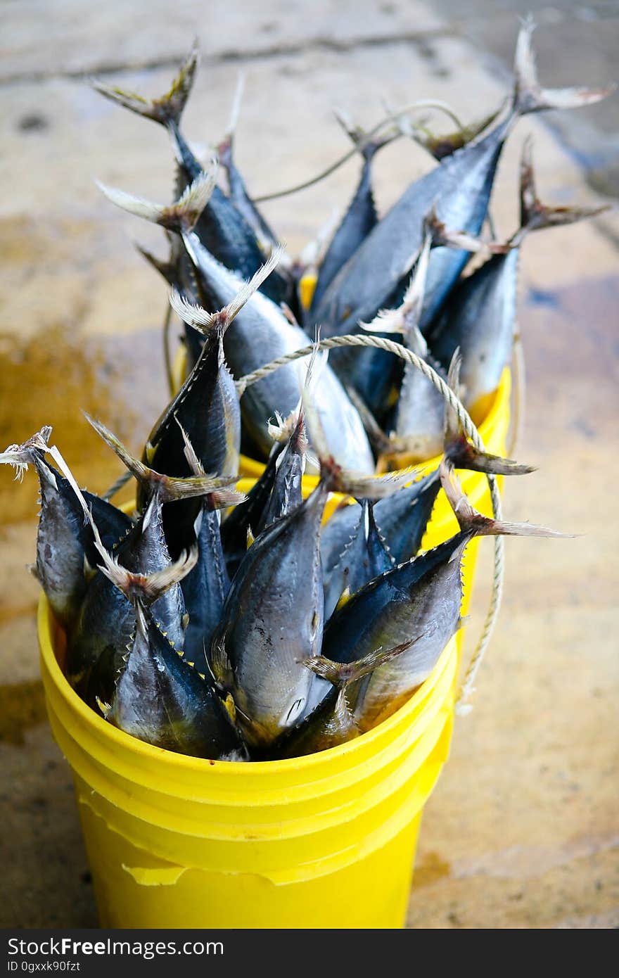 Ingredient, Recipe, Cuisine, Dish, Electric blue, Produce