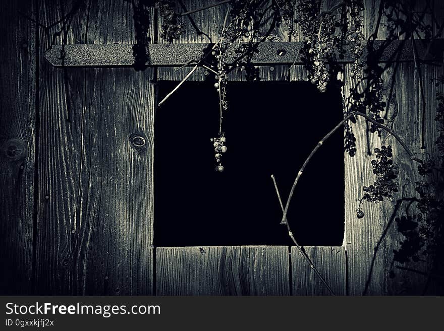 Rustic bard door window with dry grape vines in black and white. Rustic bard door window with dry grape vines in black and white.