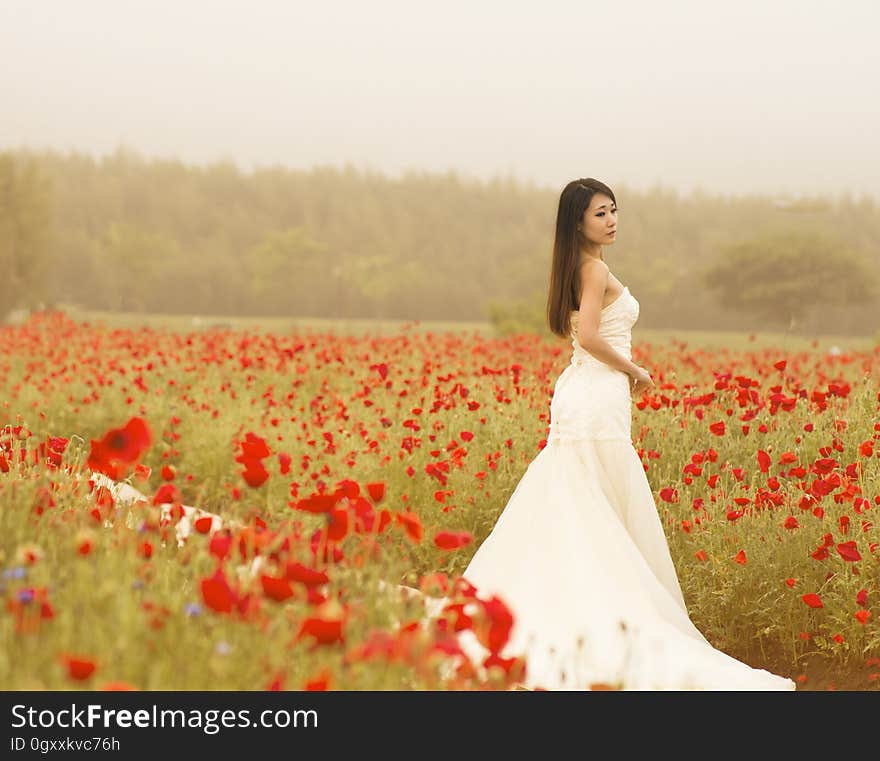 Bride in white gown standing in field of red poppies. Bride in white gown standing in field of red poppies.