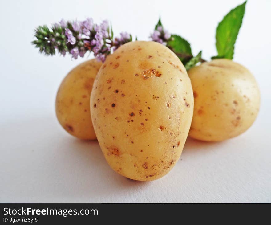 Yellow Oval Potato