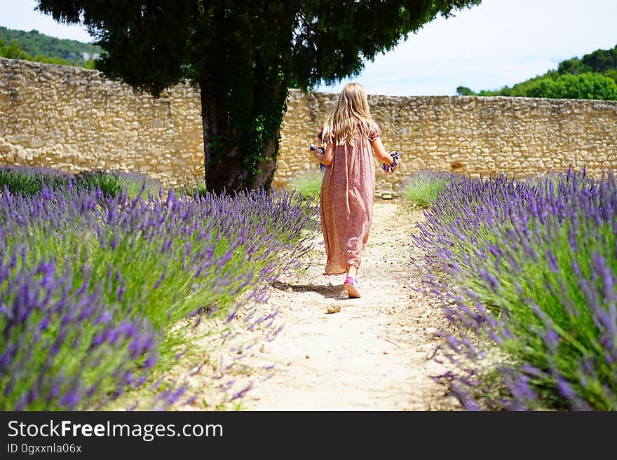 Girl Wearing Pink Dress Running on Trail Between Purple Flower Field