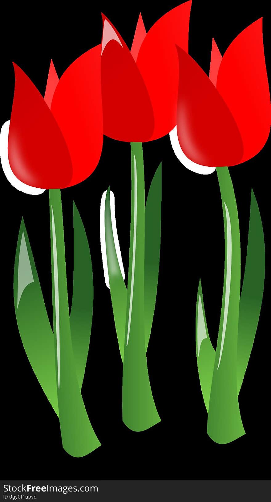 Flower, Flowering Plant, Plant, Tulip