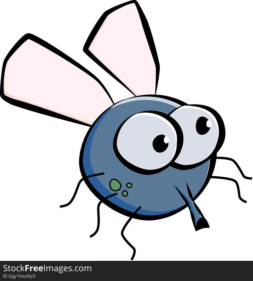 Invertebrate, Insect, Clip Art, Product