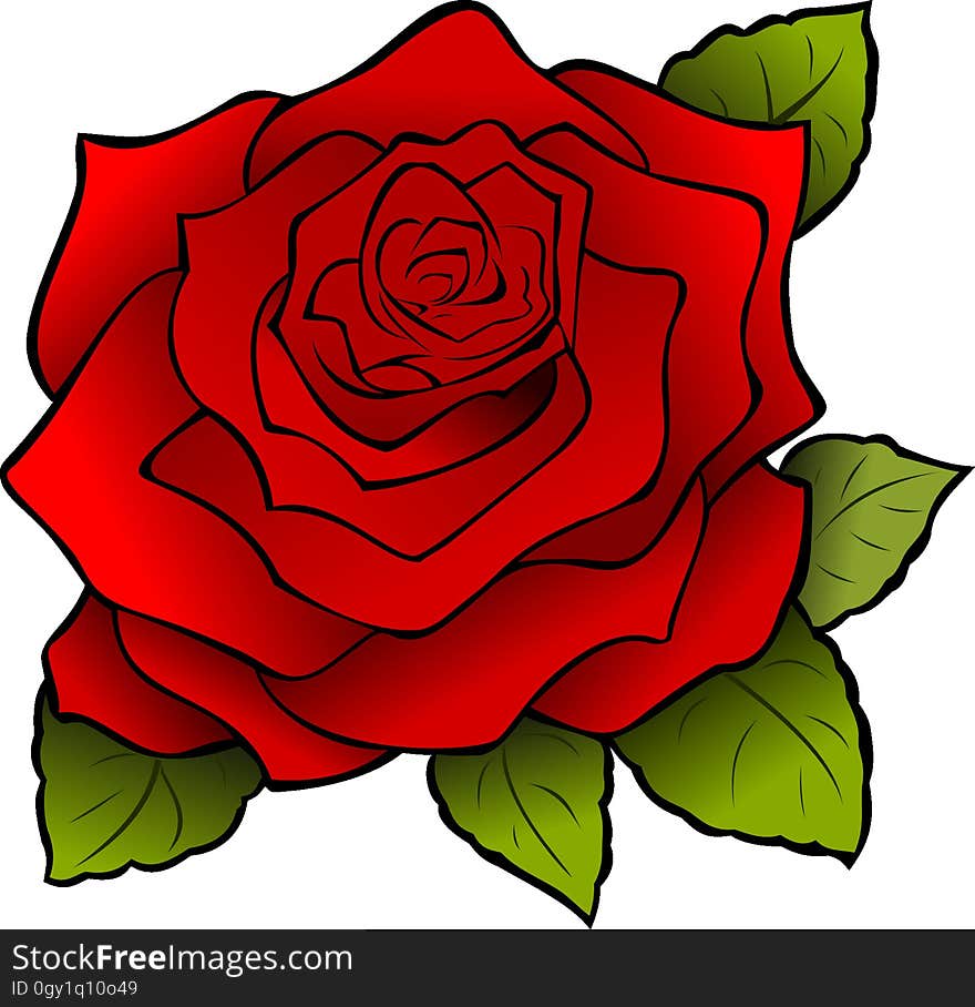 Flower, Rose, Red, Flowering Plant