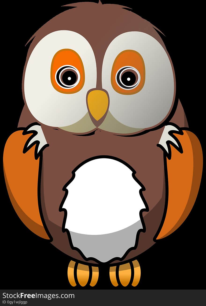 Owl, Bird, Beak, Cartoon