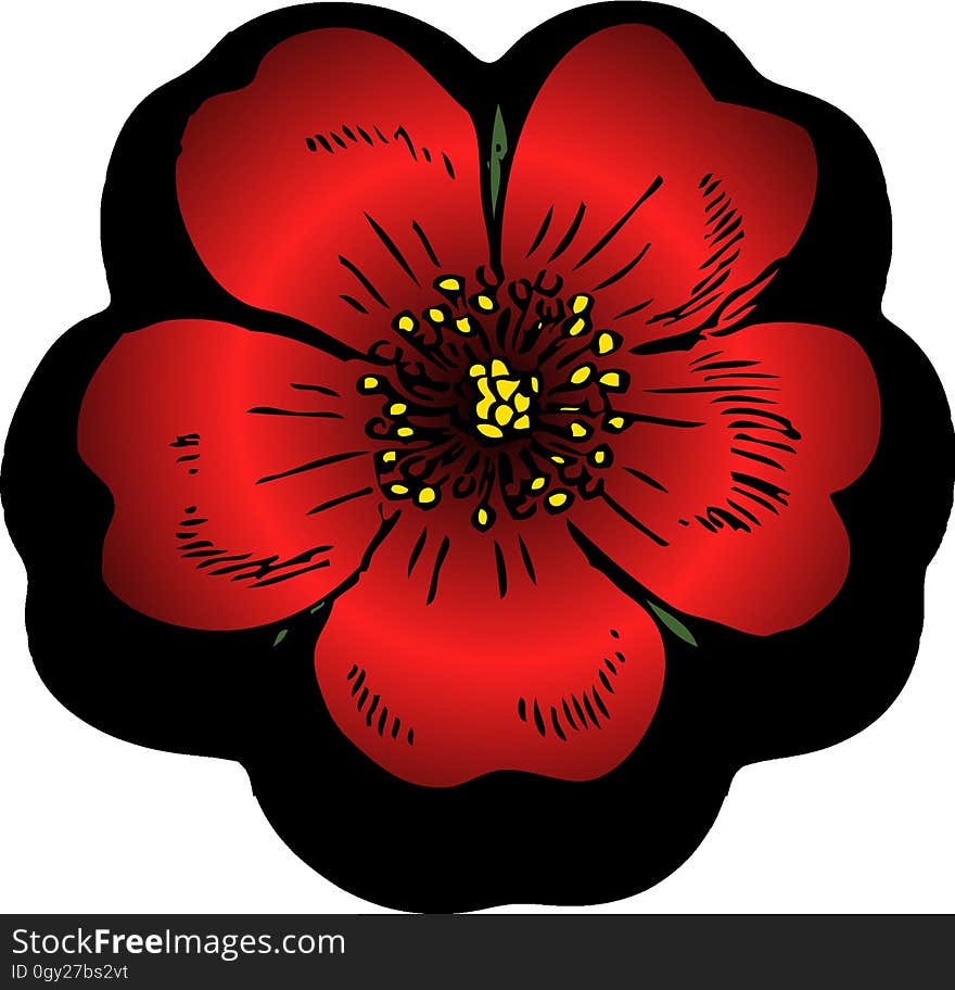 Flower, Flowering Plant, Red, Plant