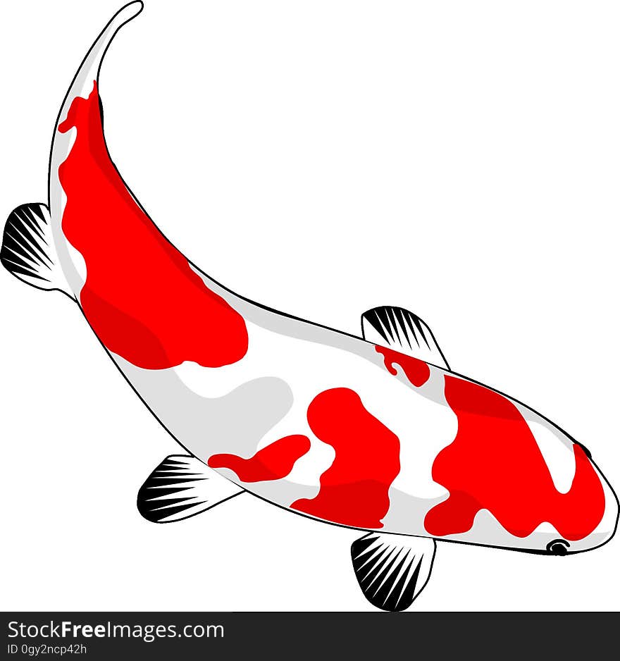 Red, Fish, Wing, Clip Art