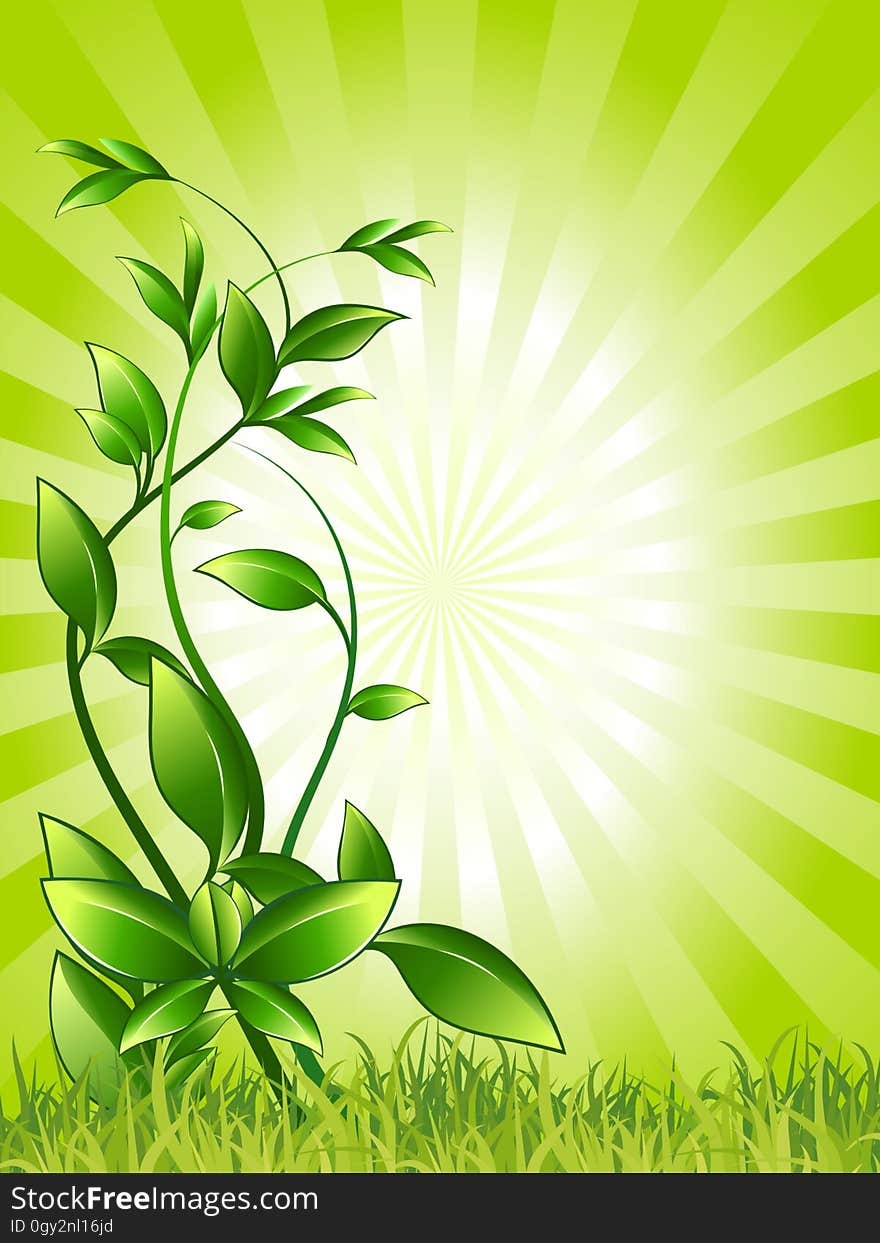 Green, Leaf, Vegetation, Flora