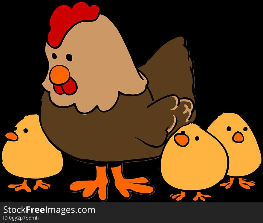 Chicken, Cartoon, Beak, Bird