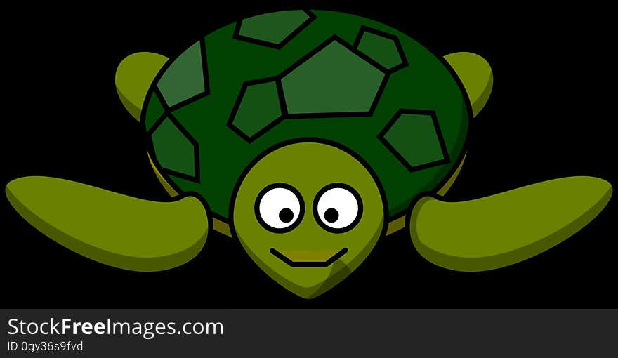 Green, Turtle, Yellow, Vertebrate