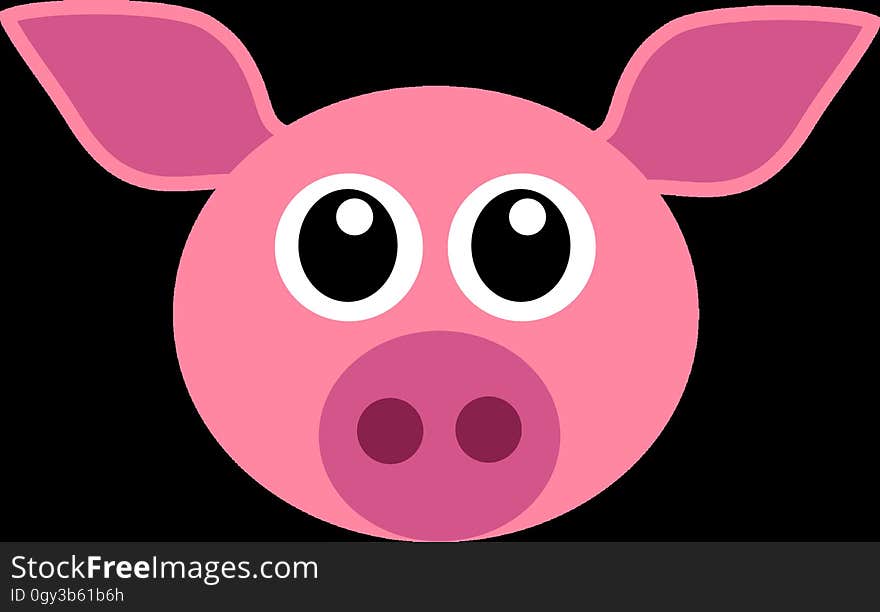 Pink, Mammal, Pig, Nose